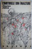 Cimitirele din inalturi - Maurice Metral - Roman