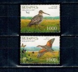 Belarus 2007 - Păsări, fauna, serie neuzata
