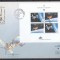 Portugalia - Madeira1991 - FDC SPECIAL AUR - EUROPA SPATIALA - Tiraj 60 ex.