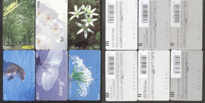 Japan - 6 Telephone cards Magnetic cards Flowers Delphins CT.004 foto