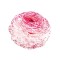Bulbi Ranunculus Elegance Bianco Striato, Piciorul cocosului alb dungat, 3/4 N