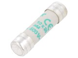 Siguranţă &icirc;nt&acirc;rziată 12A 500VAC 10x38mm