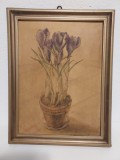Tablou acuarela, branduse in ghiveci, rama lemn, fara sticla, 26x33cm, semnata, Flori, Realism