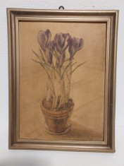 Tablou acuarela, branduse in ghiveci, rama lemn, fara sticla, 26x33cm, semnata