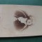 fotografie galerie historique ,dimensiuni 11 cm x 6 cm, anii 1900, ,personalitati, MIRABEAU