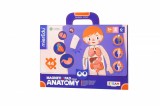 Cumpara ieftin Joc magnetic educativ - Anatomia Umana