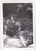 Bnk foto - Gura Diham - 1977, Alb-Negru, Romania de la 1950, Natura