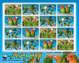 WWF MALAWI 2009-Specii de papagali protejati-coala de 4 seturi de 4 timbre MNH