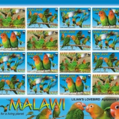 WWF MALAWI 2009-Specii de papagali protejati-coala de 4 seturi de 4 timbre MNH