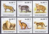 Pisici, Mozambic, 2011, MNH