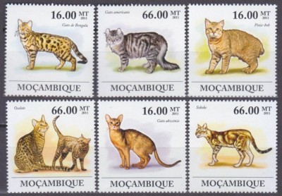 Pisici, Mozambic, 2011, MNH foto