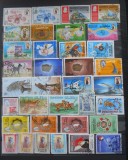 LOT TARI ARABE, Stampilat