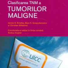 Clasificarea TNM a tumorilor maligne - Paperback brosat - Christian Wittekind, James D. Brierley, Mary K. Gospodarowicz - Prior