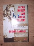 O cale ingusta spre nordul indepartat- Richard Flanagar