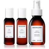 Sachajuan Scalp Care Discovery Kit Seturi pentru voiaj pentru scalp 1 buc
