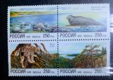 Rusia 1995 animale sălbatice linx, foca serie 4v. Nestampilata