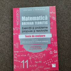 Valentin Nicula, Petre Simion - Matematica. Clasa a XI-a. Breviar teoretic