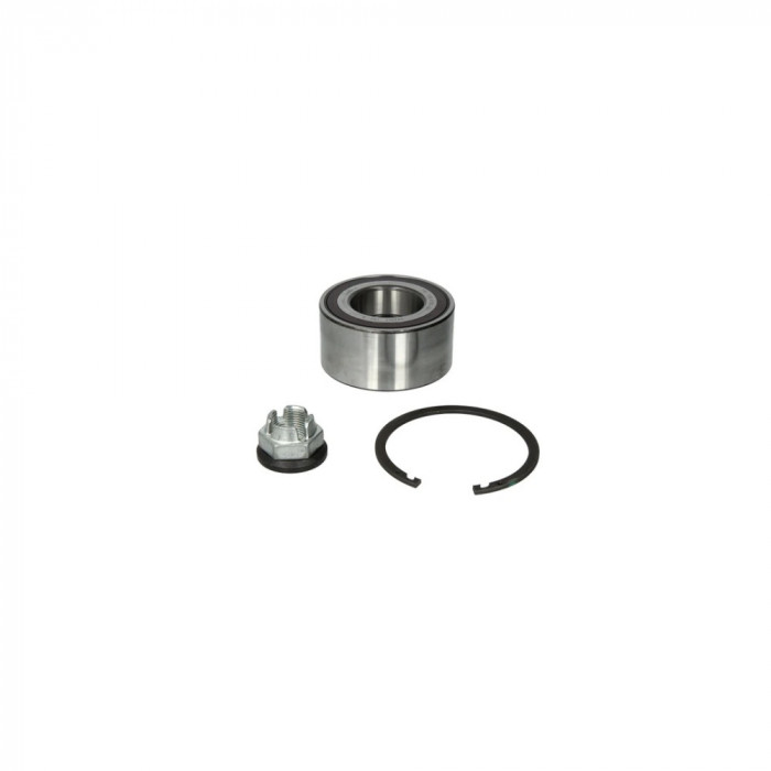 Set rulment roata RENAULT SC&iuml;&iquest;&frac12;NIC III JZ0 1 FAG 713 6311 10