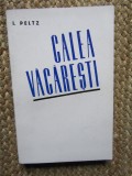 Calea Vacaresti - I. Peltz