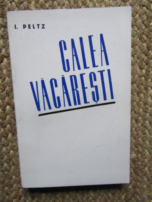 Calea Vacaresti - I. Peltz