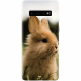 Husa silicon pentru Samsung Galaxy S10 Plus, Cute Rabbit In Grass
