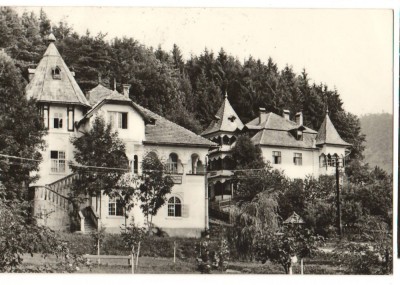 CPIB 17468 CARTE POSTALA - VILE IN SANGEORZ BAI foto