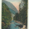cp Herculane : Valea Cernei - circulata 1934, timbre