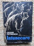 Cezar Petrescu - Intunecare