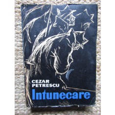 Cezar Petrescu - Intunecare
