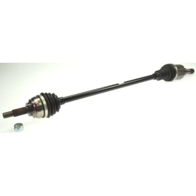 Spidan Planetara foto