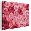 Tablou flori trandafiri roz Tablou canvas pe panza CU RAMA 60x90 cm