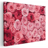 Tablou flori trandafiri roz Tablou canvas pe panza CU RAMA 60x80 cm