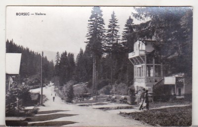 bnk cp Borsec - Vedere - circulata foto