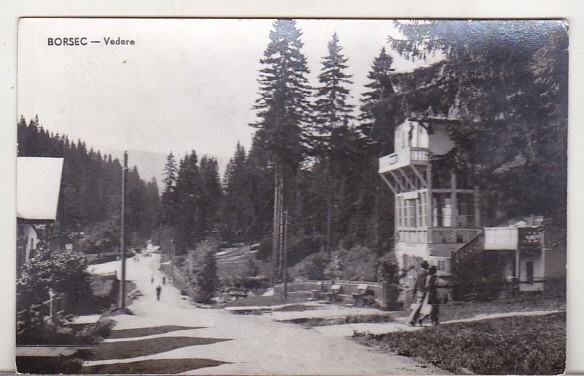 bnk cp Borsec - Vedere - circulata