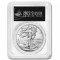 Replică după moneda de argint de 1 dollar 2022 &quot;American silver Eagle&quot;
