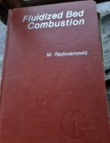 Fluidized Bed Combustion (Proceedings of the International Centre for Heat and Mass Transfer)