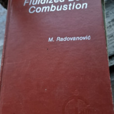 Fluidized Bed Combustion (Proceedings of the International Centre for Heat and Mass Transfer)