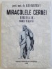 Miracolele Cernei-Herculane: Model Turistic - Ilie Cristescu, 1996. Geografie, Hercules Friends, 233 pagini