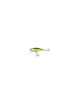 Vobler Salmo Perch PH12F PH, 12cm, 36g foto