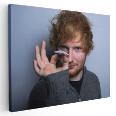 Tablou afis Ed Sheeran cantaret 2407 Tablou canvas pe panza CU RAMA 20x30 cm foto