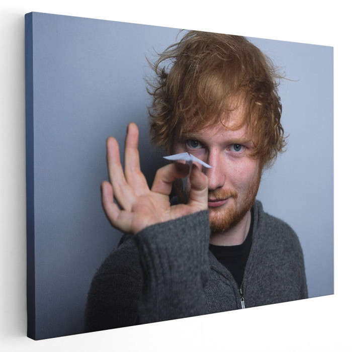 Tablou afis Ed Sheeran cantaret 2407 Tablou canvas pe panza CU RAMA 20x30 cm
