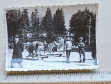 Cumpara ieftin Fotografie circ cu urs și cal &ndash; Borsec 1976 &ndash; viața cotidiană Rom&acirc;nia comunistă