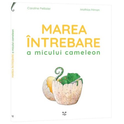 Marea intrebare a micului cameleon foto