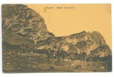 914 - BUSTENI, Prahova, Jepii Mici Mountain, Romania - old postcard - unused, Necirculata, Printata