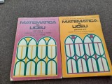 N. Teodorescu - Matematica in liceu. Culegere de articole (2 volume) RF22/3