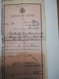 1913, Certificat de casatorie, Budesti, Herăști, Ilfov, Regatul Rom&acirc;niei