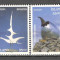 Islanda.1993 EUROPA-Arta contemporana SE.807