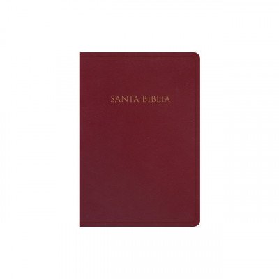 Rvr 1960 Biblia Para Regalos Y Premios, Borgo foto