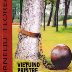 Vietuind printre dictaturile lumii - Corneliu Florea