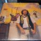Vinil Sandy Darlington &lrm;&ndash; Natural Grit (VG++)